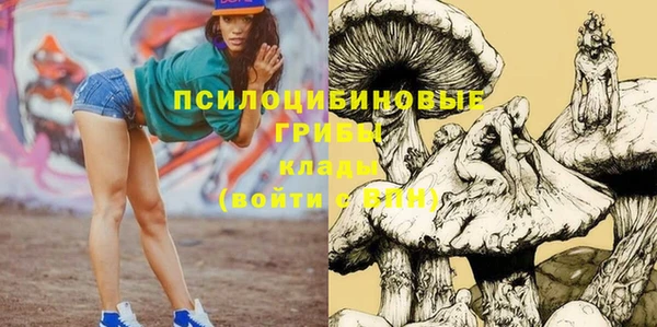 сатива Баксан