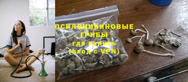 ПСИЛОЦИБИНОВЫЕ ГРИБЫ Балабаново