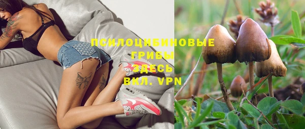 ПСИЛОЦИБИНОВЫЕ ГРИБЫ Балабаново