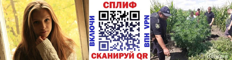 Бошки марихуана гибрид  Юрьев-Польский 